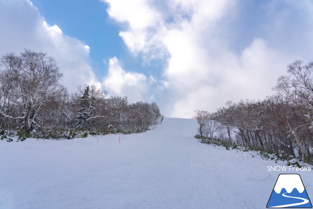 サッポロテイネ｜-10℃。雪質はパウダー。サミットエクスプレスに乗ってロング滑走を楽しみましょう！